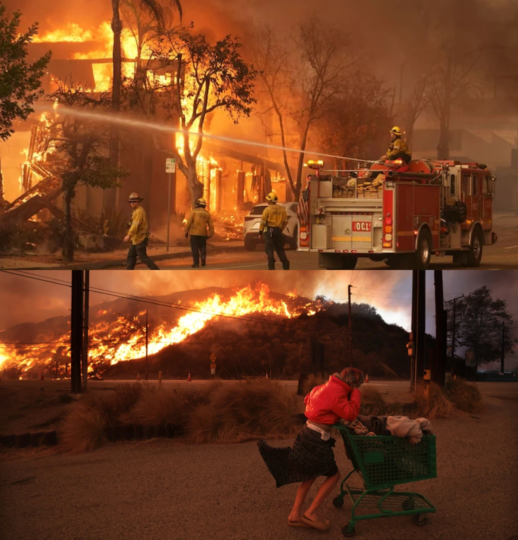 Wildfire Image